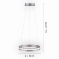 Lampa wisząca Q-VITO Paul Neuhaus 8410-55
