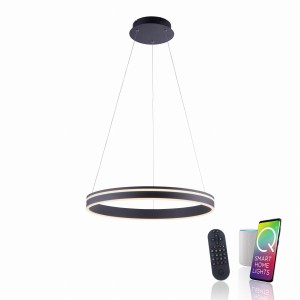 Lampa wisząca Q-VITO Paul Neuhaus 8411-13