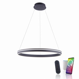 Lampa wisząca Q-VITO Paul Neuhaus 8412-13