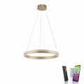 Lampa wisząca Q-VITO Paul Neuhaus 8411-60