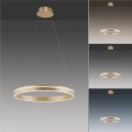 Lampa wisząca Q-VITO Paul Neuhaus 8411-60
