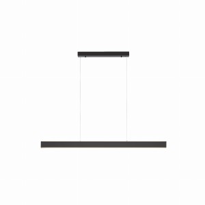 Lampa wisząca PURE-LUME Paul Neuhaus 2738-13