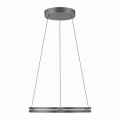 Lampa wisząca PUREE-LOOP Paul Neuhaus 2551-15