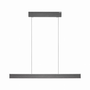 Lampa wisząca PURE E-MOT Paul Neuhaus 2570-15