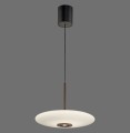 Lampa wisząca PURE E-Vit Paul Neuhaus 2084-34