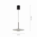 Lampa wisząca PURE E-Vit Paul Neuhaus 2084-34