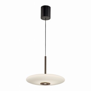 Lampa wisząca PURE E-Vit Paul Neuhaus 2084-34