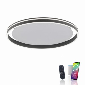 Lampa sufitowa Q-VITO Paul Neuhaus 8418-13