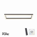 Lampa sufitowa PURE-LINES Paul Neuhaus 6023-13