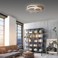 Lampa sufitowa PALMA Paul Neuhaus 8328-79