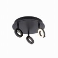 Lampa sufitowa SILEDA Paul Neuhaus 6788-13