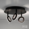 Lampa sufitowa SILEDA Paul Neuhaus 6788-13