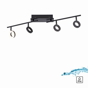 Lampa sufitowa SILEDA Paul Neuhaus 6786-13