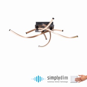 Lampa sufitowa POLINA Paul Neuhaus 9144-18