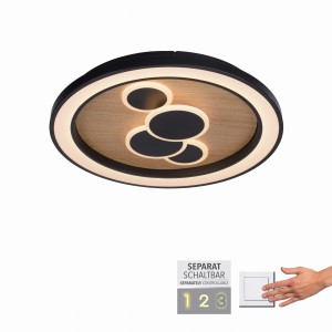 Lampa sufitowa ELIZA Paul Neuhaus 6284-79