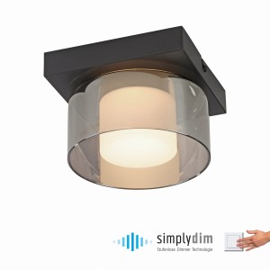 Lampa sufitowa RIKA Paul Neuhaus 6162-18