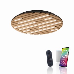 Lampa sufitowa Q-AKUSTIK Paul Neuhaus 6421-79