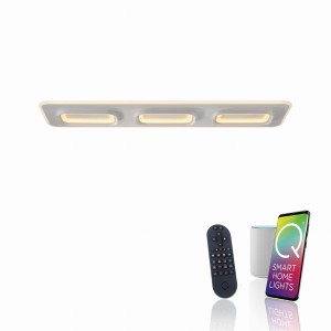 Lampa sufitowa Q-KALINA Paul Neuhaus 6505-16