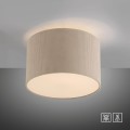 Lampa sufitowa GREEN DURO Just Light 14891-39