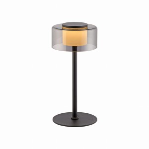 Lampa stołowa RIKA Paul Neuhaus 4110-18