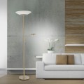 Lampa podłogowa ALFRED Paul Neuhaus 655-60