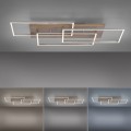 Lampa sufitowa PALMA Paul Neuhaus 8330-79