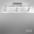 Lampa sufitowa SILEDA Paul Neuhaus 6785-96