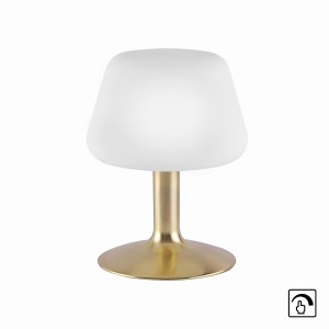 Lampa stołowa TILL Paul Neuhaus 4078-60