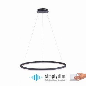 Lampa wisząca TITUS Paul Neuhaus 2383-13