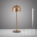 19244-12 BELLIS LAMPA STOŁOWA ZŁOTA Paul Neuhaus