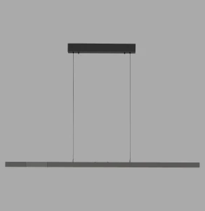 2598-13 ADRIANA COMFORT LIFT LAMPA WISZĄCA ANTRACYT Paul Neuhaus