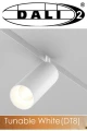 10113 REFLEKTOR MAGNETYCZNY DALI 12W CCT DT8 BIAŁY Zuma Line