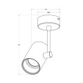 Reflektor / spot lampa sufitowa TORI kolor biały metal, GU10 IP20 20014-WH-N Zuma Line
