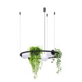 Lampa wisząca PLANT kolor czarny metal/szkło, 3xE27 IP20 5005 Zuma Line