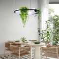 Lampa wisząca PLANT kolor czarny metal/szkło, 3xE27 IP20 5005 Zuma Line