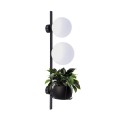 Kinkiet lampa ścienna Plant czarny 5002Z Zuma Line