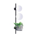 Kinkiet lampa ścienna Plant czarny 5002Z Zuma Line