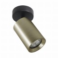 Lampa sufitowa regulowana tuba w kolorze złotym TORE - TLS006-GLD Zuma Line