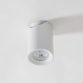 Lampa sufitowa reflektorek TORE biały, regulowany spot - TLS006-WH Zuma Line