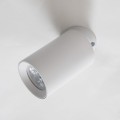 Lampa sufitowa reflektorek TORE biały, regulowany spot - TLS006-WH Zuma Line