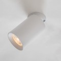 Lampa sufitowa reflektorek TORE biały, regulowany spot - TLS006-WH Zuma Line