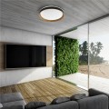 Nowoczesna lampa sufitowa do salonu BOIS, Ø49 LED 36W barwa regulowana- CL2204003-490MBWT Zuma Line