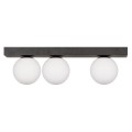 Lampa sufitowa SPHERE G9 LED czarna 1203 Zuma Line