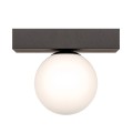Lampa sufitowa SPHERE G9 LED czarna 1206 Zuma Line