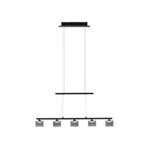 Lampa wisząca HYDRA 2209-18 Paul Neuhaus