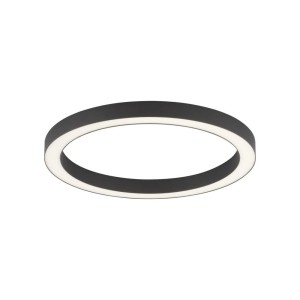 Lampa sufitowa PURE-LINES 6309-13 Paul Neuhaus