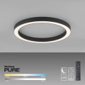 Lampa sufitowa PURE-LINES 6309-13 Paul Neuhaus