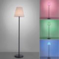 Lampa podłogowa HOLLY 19826-18 Leuchten Direkt