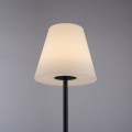 Lampa podłogowa HOLLY 19826-18 Leuchten Direkt
