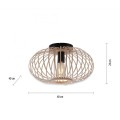 Lampa sufitowa RACOON 11410-79 Leuchten Direkt